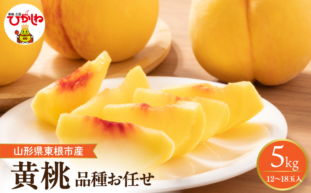 【2026年産】採れたて黄桃(品種お任せ) 約5kg (12～18玉) 晴天畑提供 山形県 東根市 hi026-058