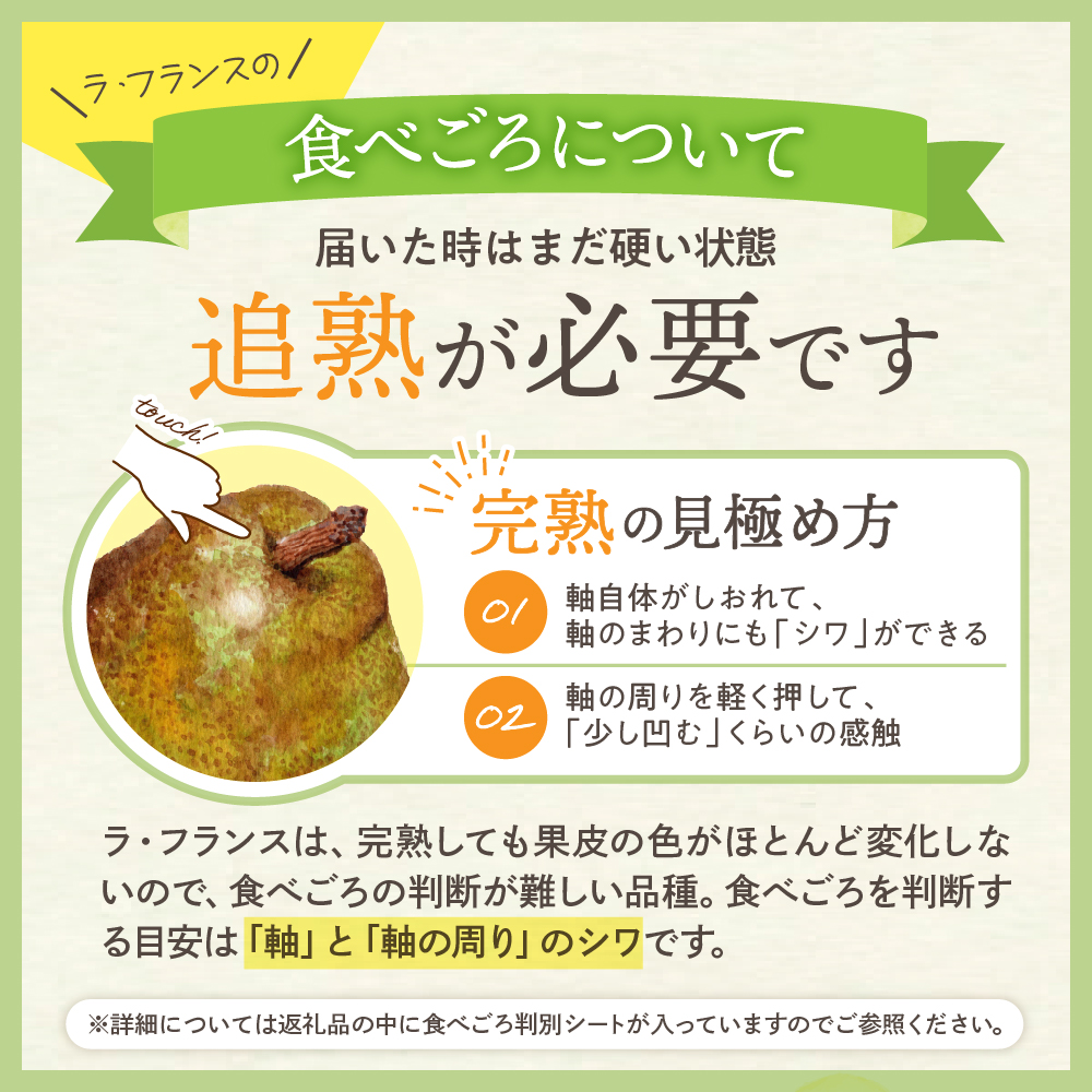 【令和6年産 先行予約】西洋梨ラフランス２ｋｇ　秀品　化粧箱入り 山形県 東根市 東根農産センター提供 hi027-143