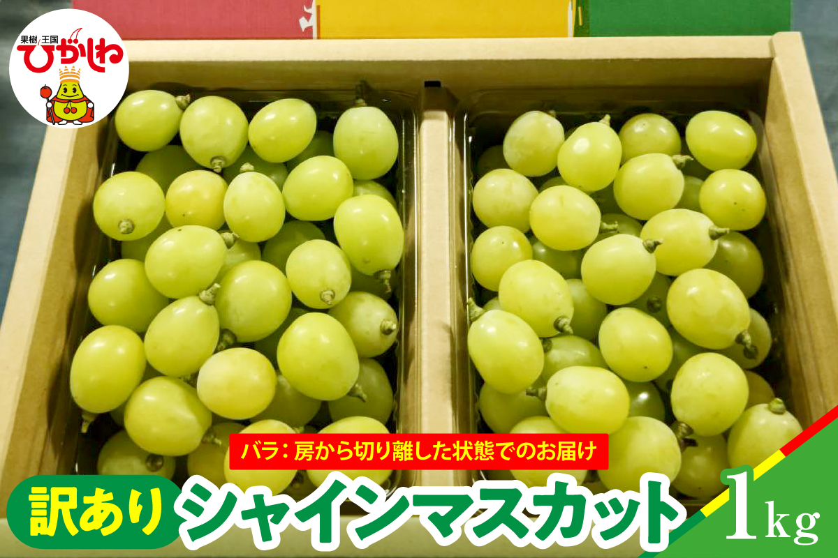 【2026年産】シャインマスカット 訳ありバラ 約1kg 山形県 東根市 松栗提供 hi062-066