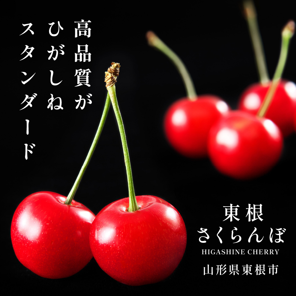 2025年 GI東根さくらんぼ「紅秀峰」800g(200g×4ﾊﾟｯｸ) 東根農産センター提供　hi027-178-2