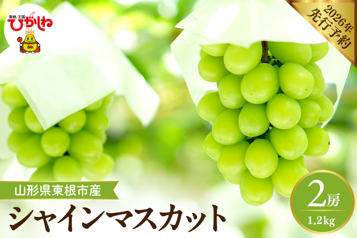【2026年産】 シャインマスカット 約1.2kg (2房入) 山形県 東根市 hi026-054
