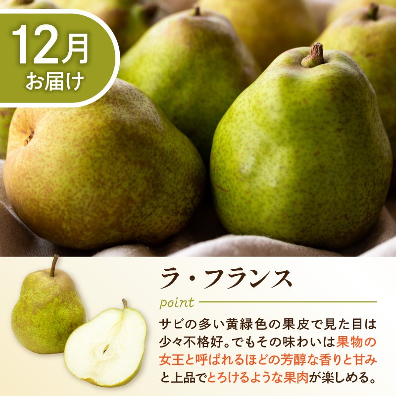 【2026年産 5回定期便】西洋梨食べ尽くし定期便 山形県 東根市 東根農産センター提供 hi027-201-r8
