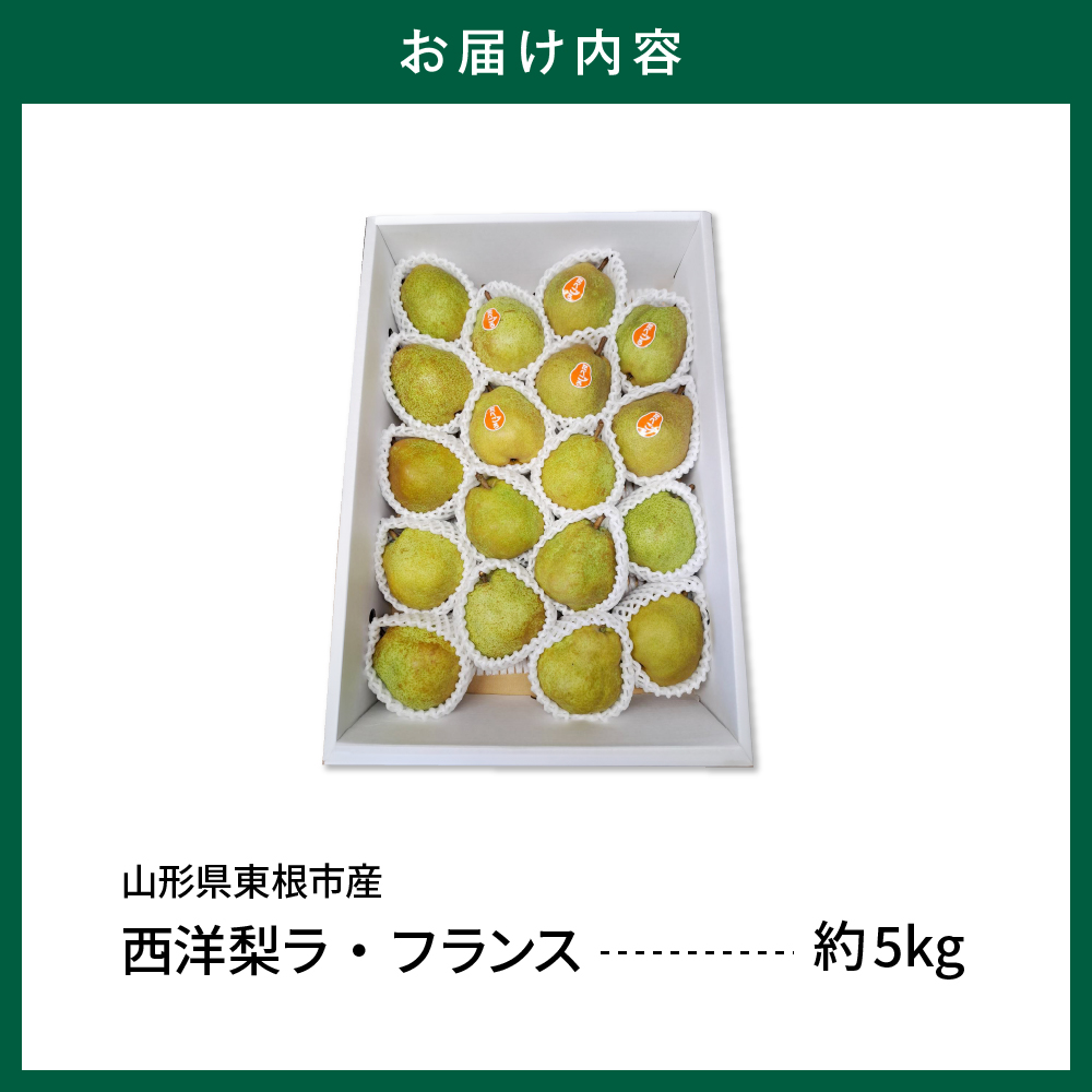 縲蝉サ、蜥8蟷エ逕」 蜈郁。御コ育エ縲大アア蠖「繧サ繝ャ繧ッ繧キ繝ァ繝ウ縲繝ゥ繝サ繝輔Λ繝ウ繧ケ 5kg 螻ア蠖「逵 譚ア譬ケ蟶 hi069-018
