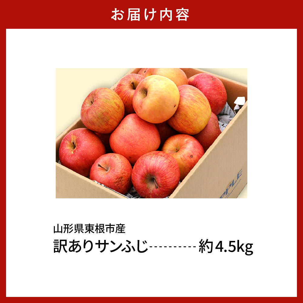 【令和6年産 先行予約】※訳あり※ サンふじ満杯詰(約4.5kg) 東根市 山形県 東根農産センター提供 hi027-132