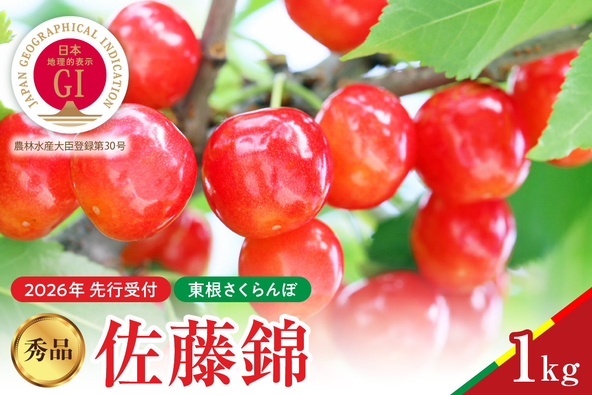 【2026年産　先行予約】佐藤錦 秀品 1kg 山形県 東根市　hi062-045