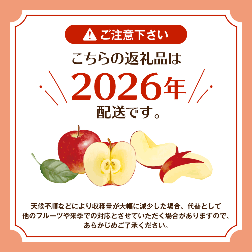 【2026年産先行予約】 太陽の恵みをいっぱいに浴びたりんご「サンふじ」 約10kg(28～36玉入) 山形県 東根市　hi026-063