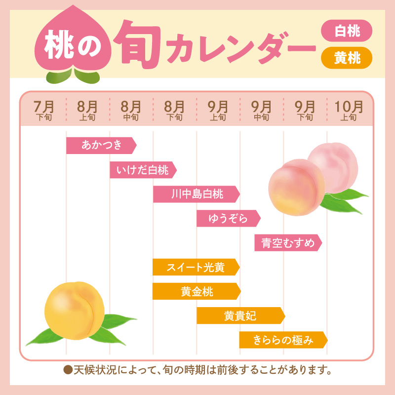 縲2026蟷エ逕」縲 謗。繧後◆縺ヲ逋ス譯(蜩∫ィョ縺贋ササ縺) 邏5kg (12ス18邇) 螻ア蠖「逵 譚ア譬ケ蟶ゅhi026-056