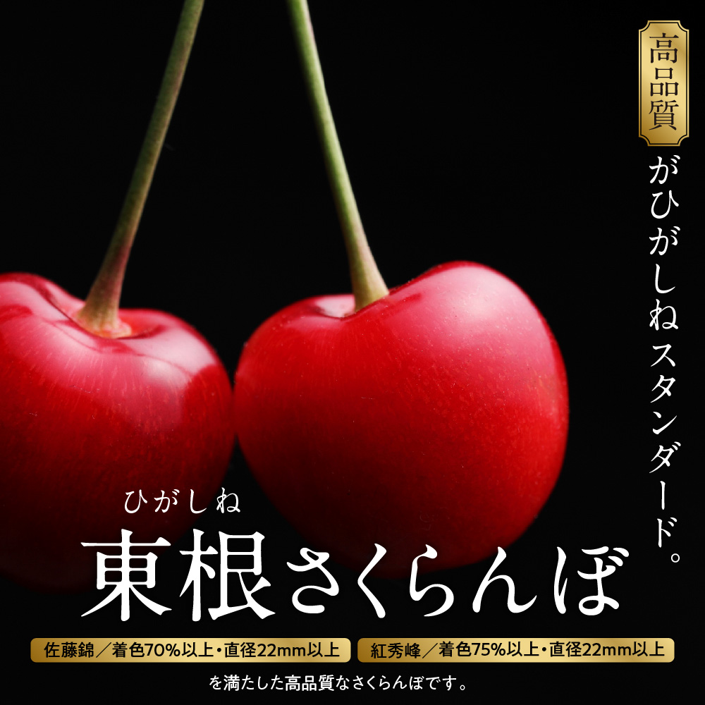 【2026年 3回定期便】山形農縁プレミアム3種B ～さくらんぼ紅秀峰から始まる～ 千笑花夢提供 山形県 東根市 hi082-065b