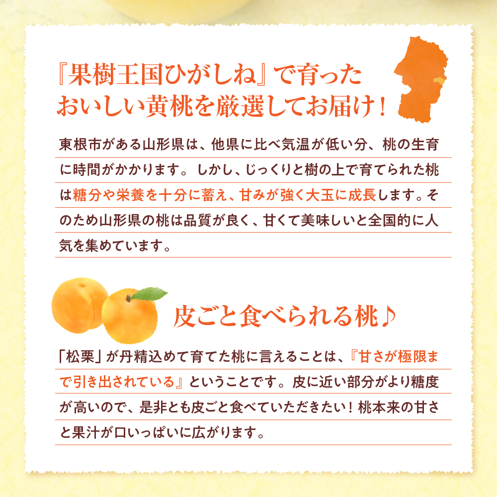 【2024年産　先行予約】黄桃 品種おまかせ 秀品2kg(硬め)　hi004-hi062-013