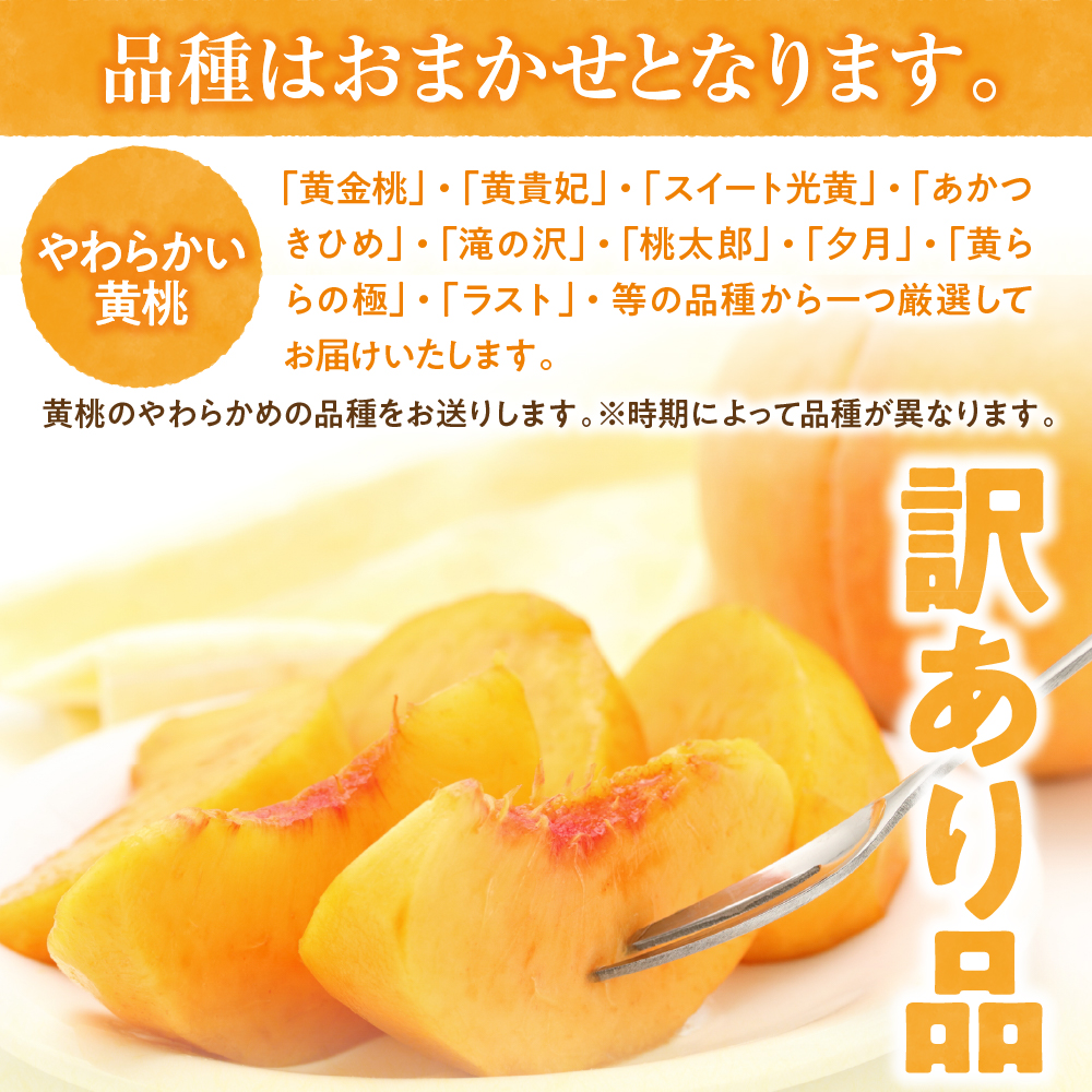 【2024年産　先行予約】黄桃 品種おまかせ 訳あり2kg(やわらかめ)　hi004-hi062-016
