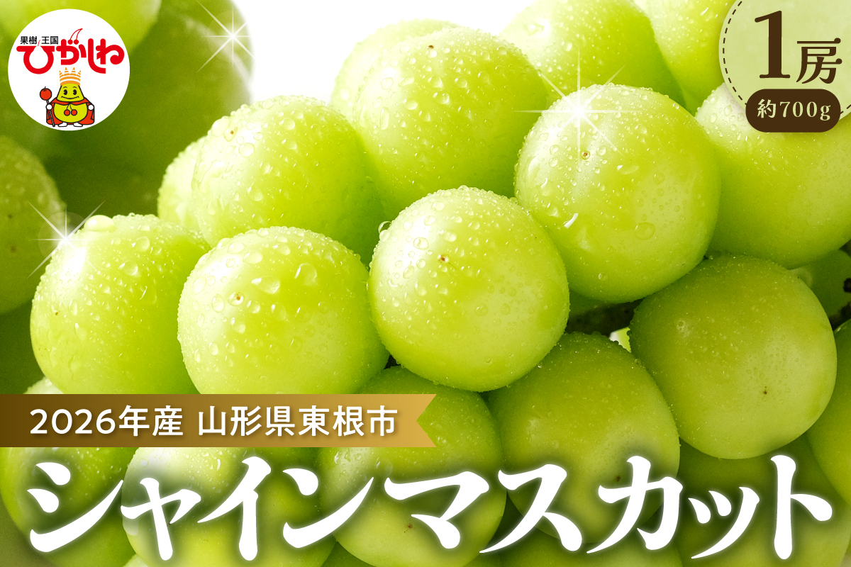 【2026年 先行予約】ぶどう「シャインマスカット」1房 (約700g) 山形県 東根市 hi003-152