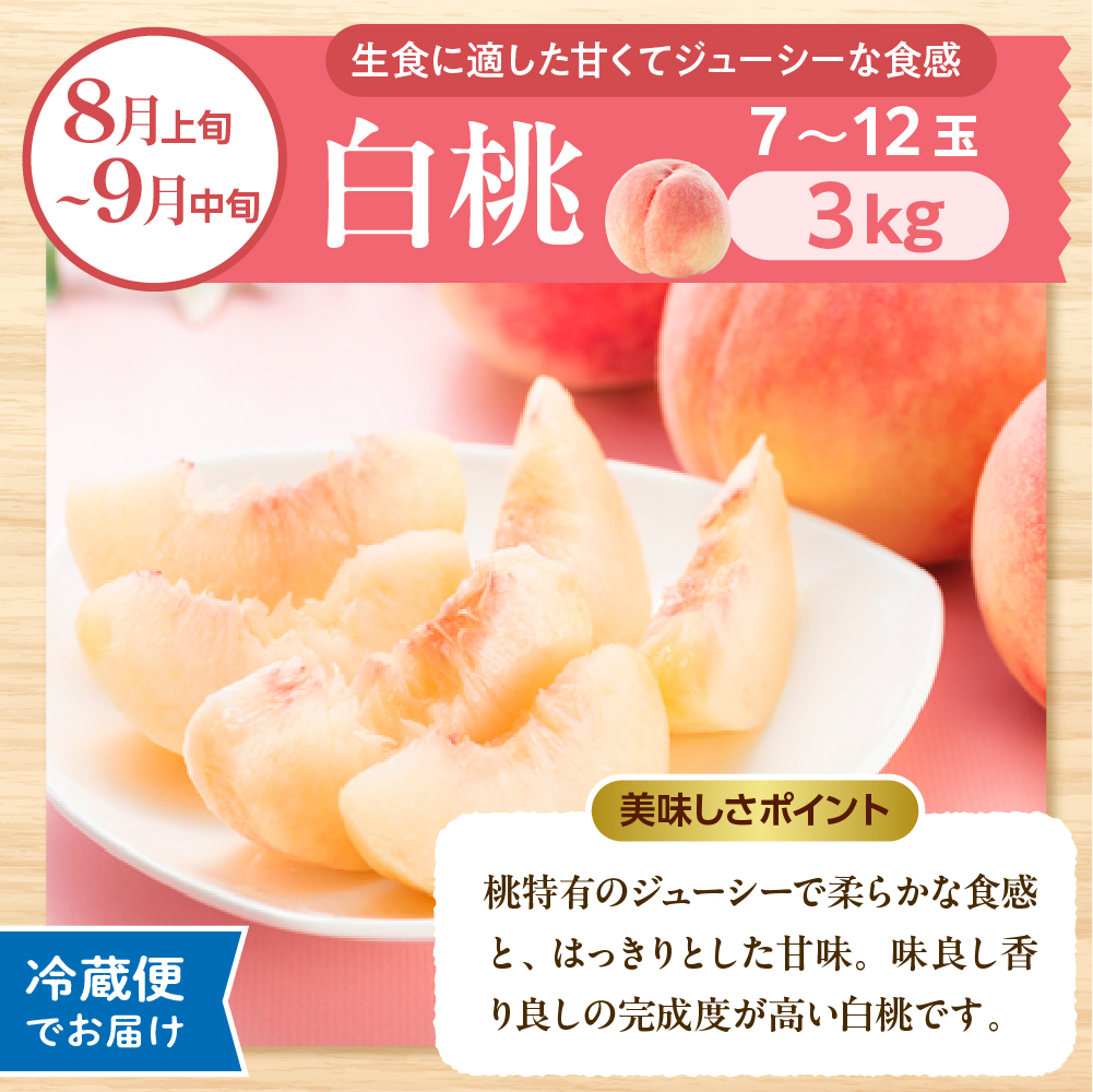 【2026年先行予約】晴天の恵み！ひがしねフルーツ祭定期便！全7回 (2026.6月中旬からスタート) 山形県 東根市 hi026-051