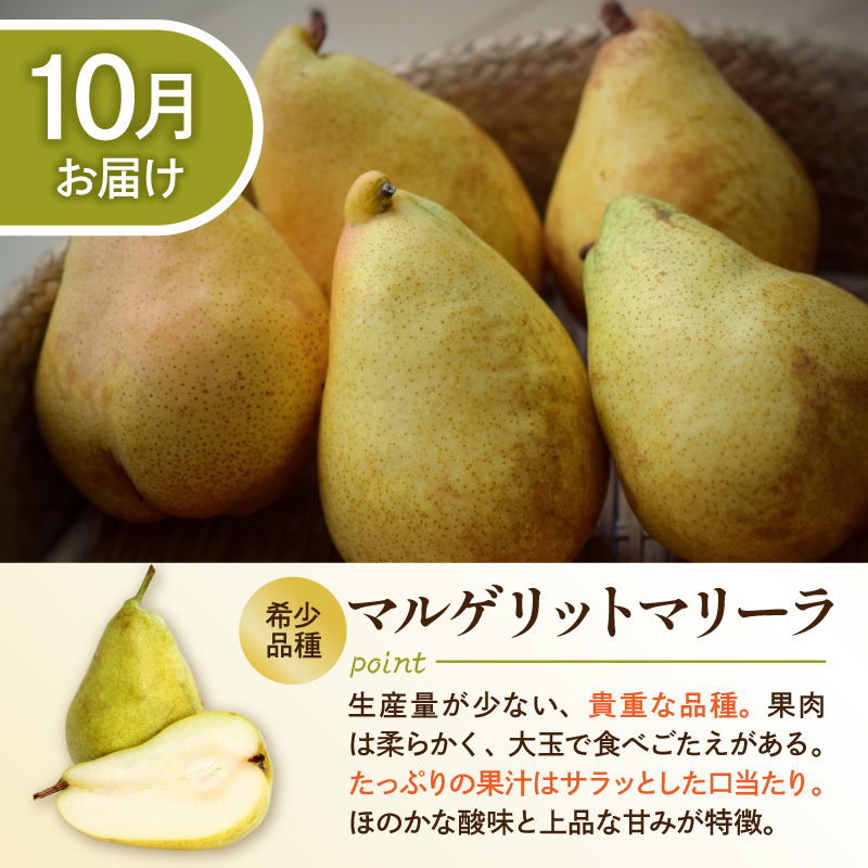 【2026年産 5回定期便】西洋梨食べ尽くし定期便 山形県 東根市 東根農産センター提供 hi027-201-r8