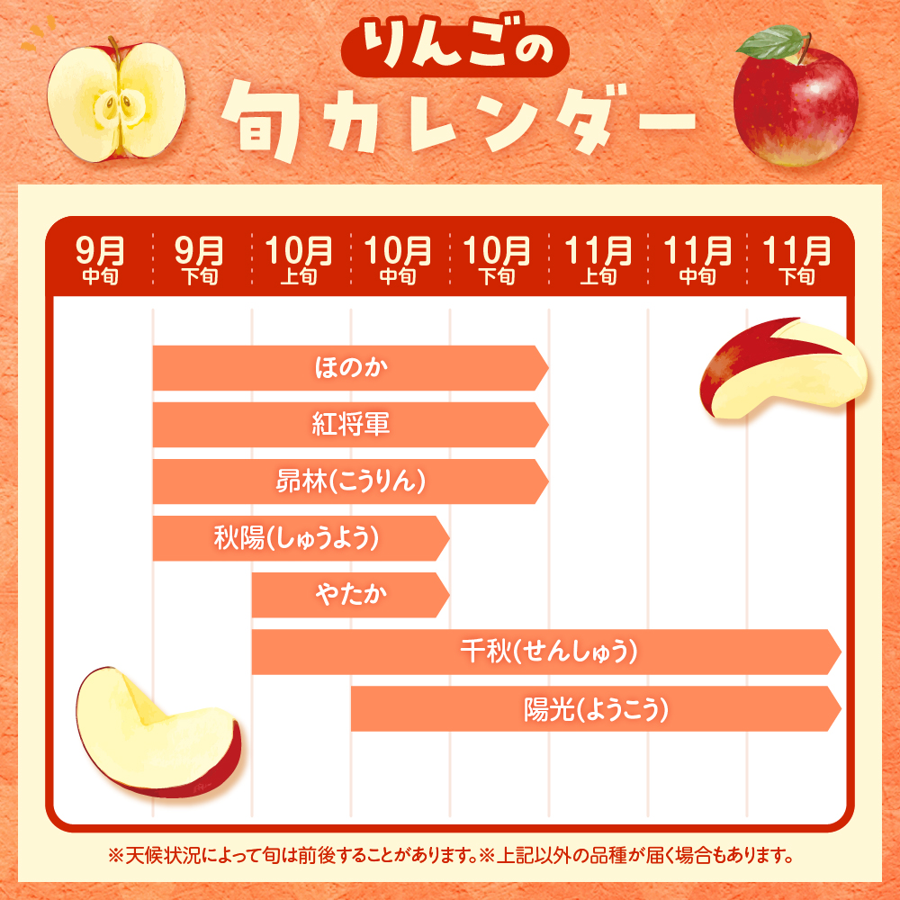 【2024年産 先行予約】 りんご(品種おまかせ)10kg JA提供　hi003-111