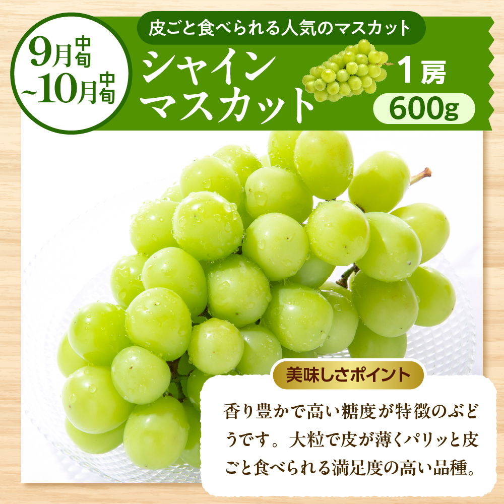 ã2026幎ç£å
è¡äºçŽãã²ããããã«ãŒãç¥ ã¡ãã£ãšãã€å®æäŸ¿ïŒå
š6åïŒ2026幎6æããã¹ã¿ãŒãïŒå±±åœ¢ç æ±æ ¹åž hi026-052