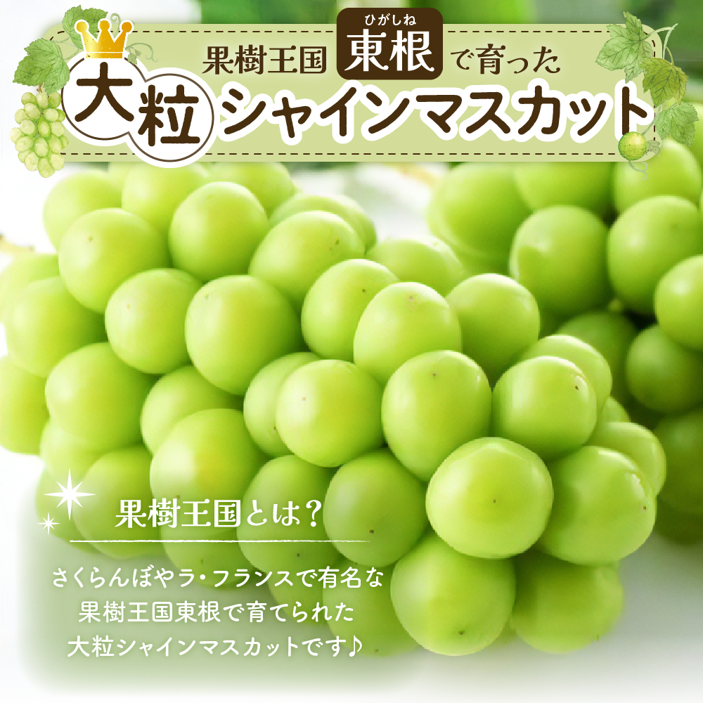 ã2026幎 å
è¡äºçŽãã¶ã©ããã·ã£ã€ã³ãã¹ã«ããã2æ¿ (çŽ1.3kgïœ1.4kg) å±±åœ¢ç æ±æ ¹åž hi003-153