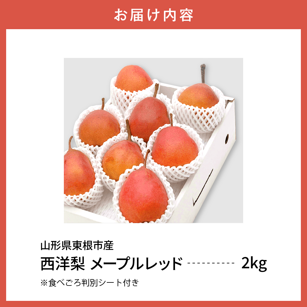 【令和6年産 先行予約】西洋梨メープルレッド２ｋｇ　秀品　化粧箱入り 山形県 東根市 東根農産センター提供 hi027-140