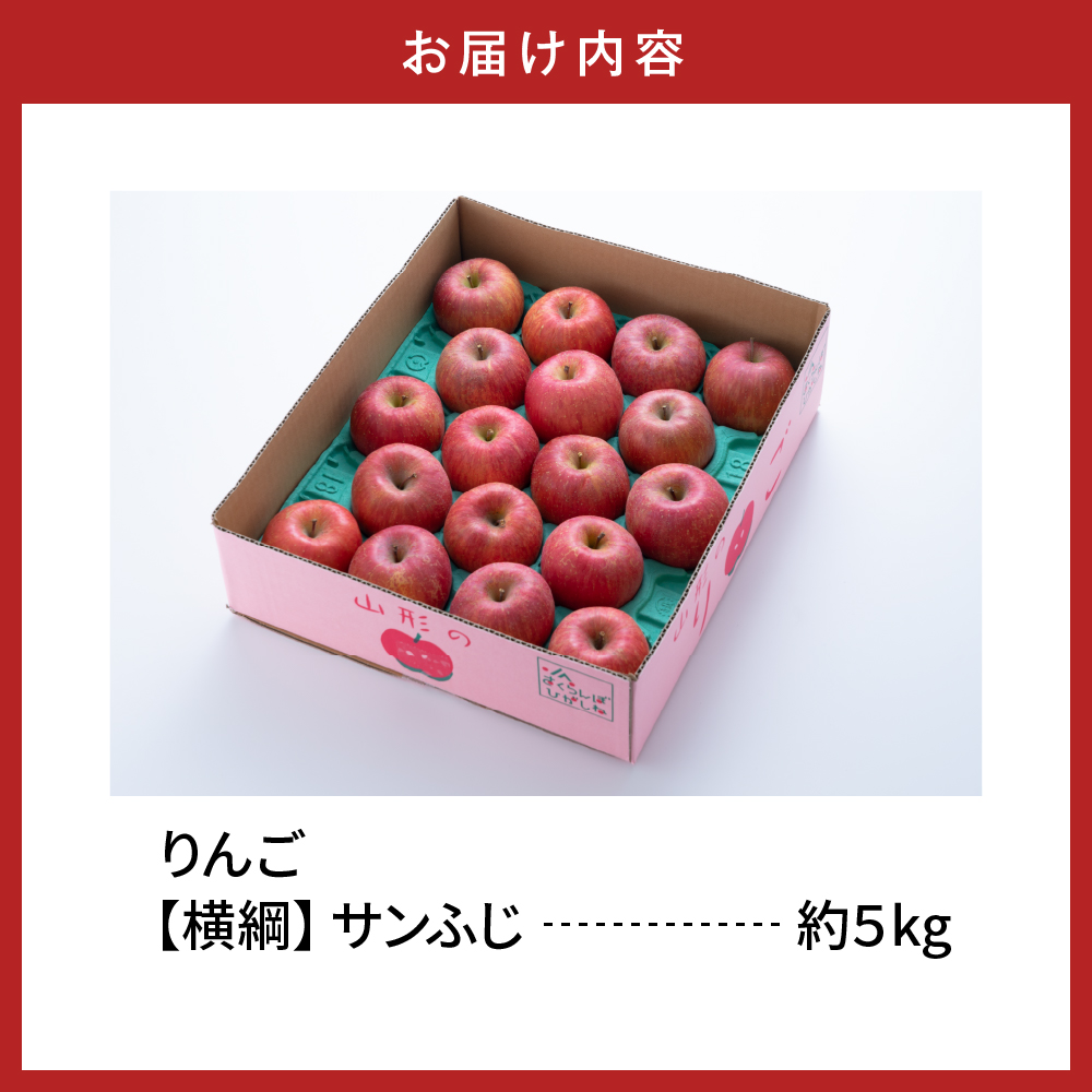 【2025年産 先行予約】 りんご「【横綱】サンふじ」5kg JA提供 山形県 東根市 hi003-140-2