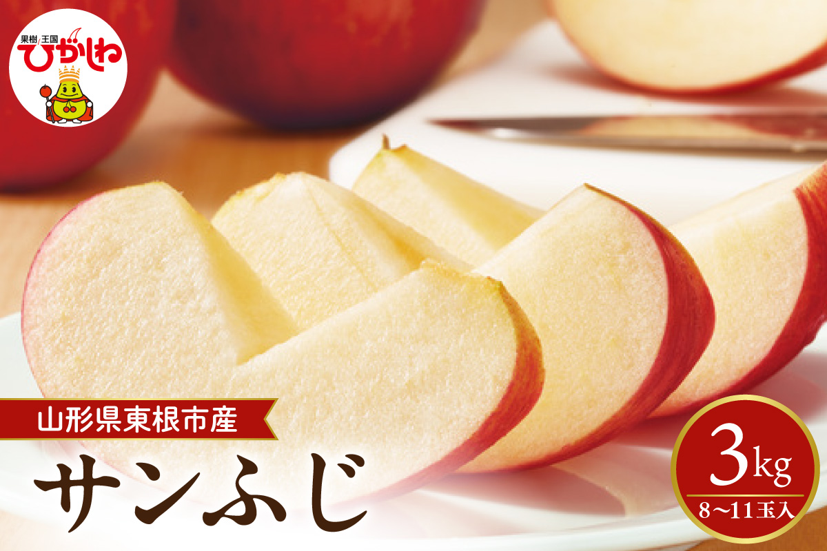 【2026年産】太陽の恵みをいっぱいに浴びたりんご「サンふじ」 約3kg (8～11玉入) 山形県 東根市　hi026-061
