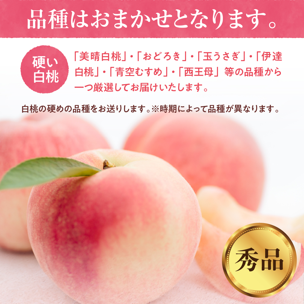 【2025年産　先行予約】白桃 品種おまかせ 秀品2kg(硬め) 山形県 東根市　hi004-hi062-021-2