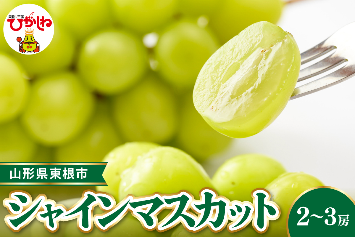 【令和8年産先行受付】 東根市産シャインマスカット 約1.2~1.3kg(2~3房入) ベジフルひがしね 山形県 東根市 hi104-002