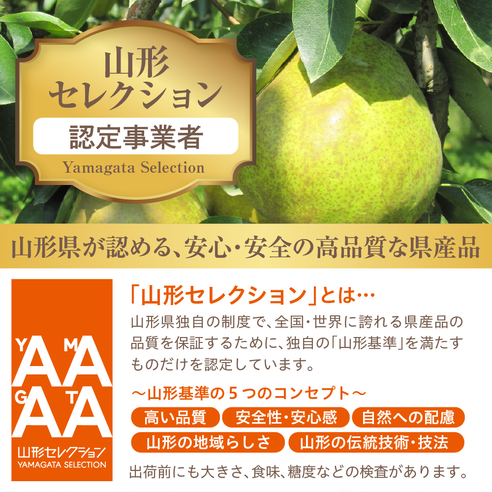 ã什å8å¹Žç£ å
è¡äºçŽã山圢ã»ã¬ã¯ã·ã§ã³ãã©ã»ãã©ã³ã¹ 3kg å±±åœ¢ç æ±æ ¹åž hi069-017