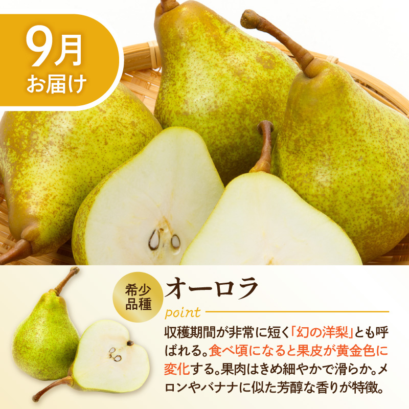 【2026年産 5回定期便】西洋梨食べ尽くし定期便 山形県 東根市 東根農産センター提供 hi027-201-r8