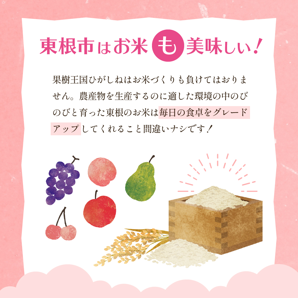 【令和6年産】はえぬき10kg (2025年4月前半送付)ジェイエー提供 山形県 東根市　hi002-028-041-2