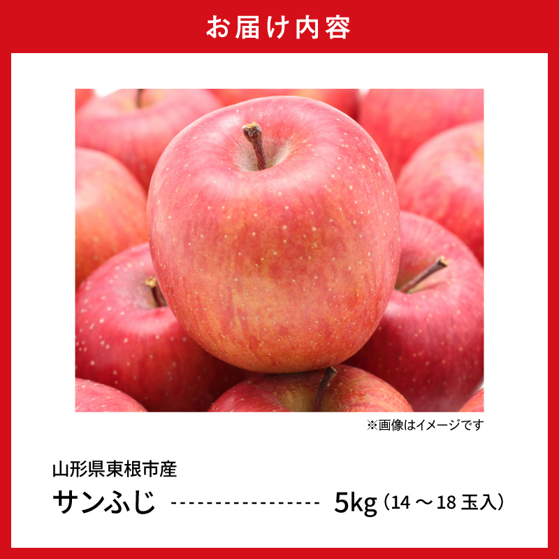 【2026年産】太陽の恵みをいっぱいに浴びたりんご「サンふじ」 約5kg (14～18玉入) 山形県 東根市　hi026-062
