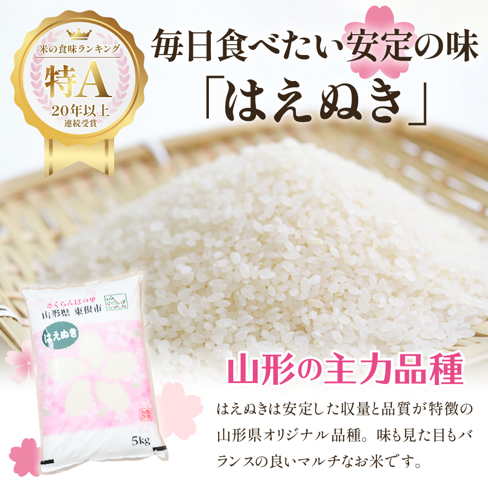 【令和6年産 先行予約】はえぬき10kg (2025年4月前半送付)JA提供 山形県 東根市　hi002-028-041