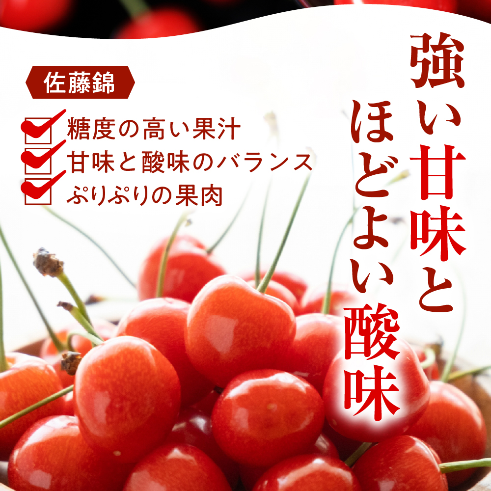 GI「東根さくらんぼ」 先取り！ 2024年産 無加温ハウス栽培 佐藤錦300g×8 【JA産直】　hi003-065