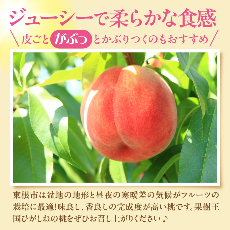 縲2026蟷エ逕」縲 謗。繧後◆縺ヲ逋ス譯(蜩∫ィョ縺贋ササ縺) 邏5kg (12ス18邇) 螻ア蠖「逵 譚ア譬ケ蟶ゅhi026-056