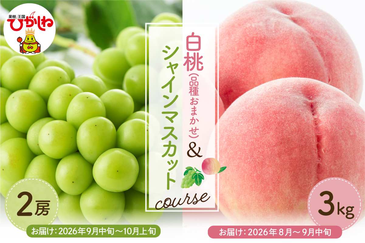 [2026年先行予約 2回 定期便]東根市 果物定期便 もも シャインマスカット 山形県 東根市 hi003-159