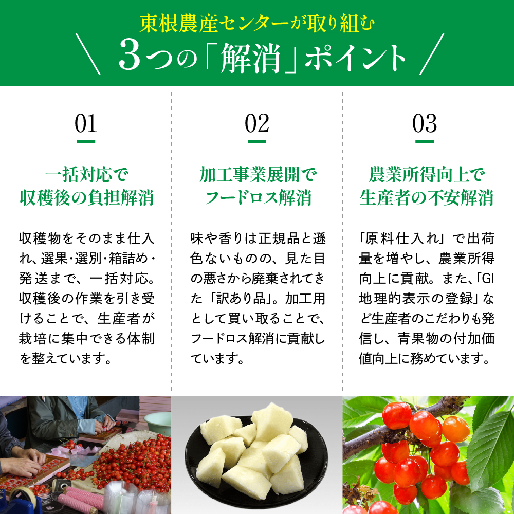 2026年 GI東根さくらんぼ「紅秀峰」700gバラ詰め(350g×2ﾊﾟｯｸ) 秀品 2Lサイズ 東根農産センター提供 山形県 東根市 hi027-226