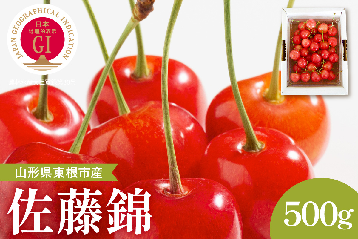 【2026年産】GI東根さくらんぼ「佐藤錦」秀品 500gバラ詰め (500g×1パック) Lサイズ以上 安達農園提供 山形県 東根市 hi037-014