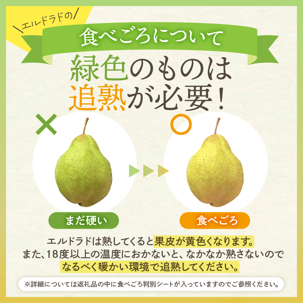 【令和6年産 先行予約】西洋梨エルドラド２ｋｇ　秀品　化粧箱入り 山形県 東根市 東根農産センター提供 hi027-145