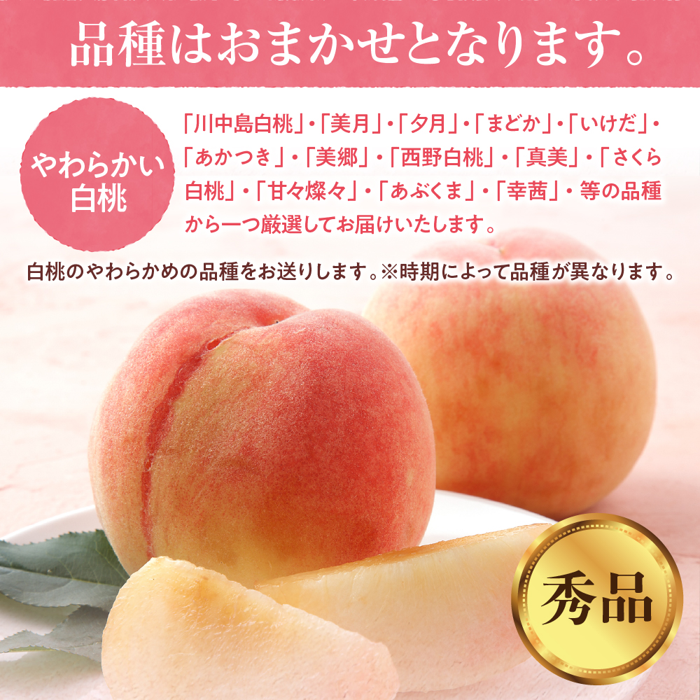 【2024年産　先行予約】白桃 品種おまかせ 秀品2kg(やわらかめ)　hi004-hi062-010