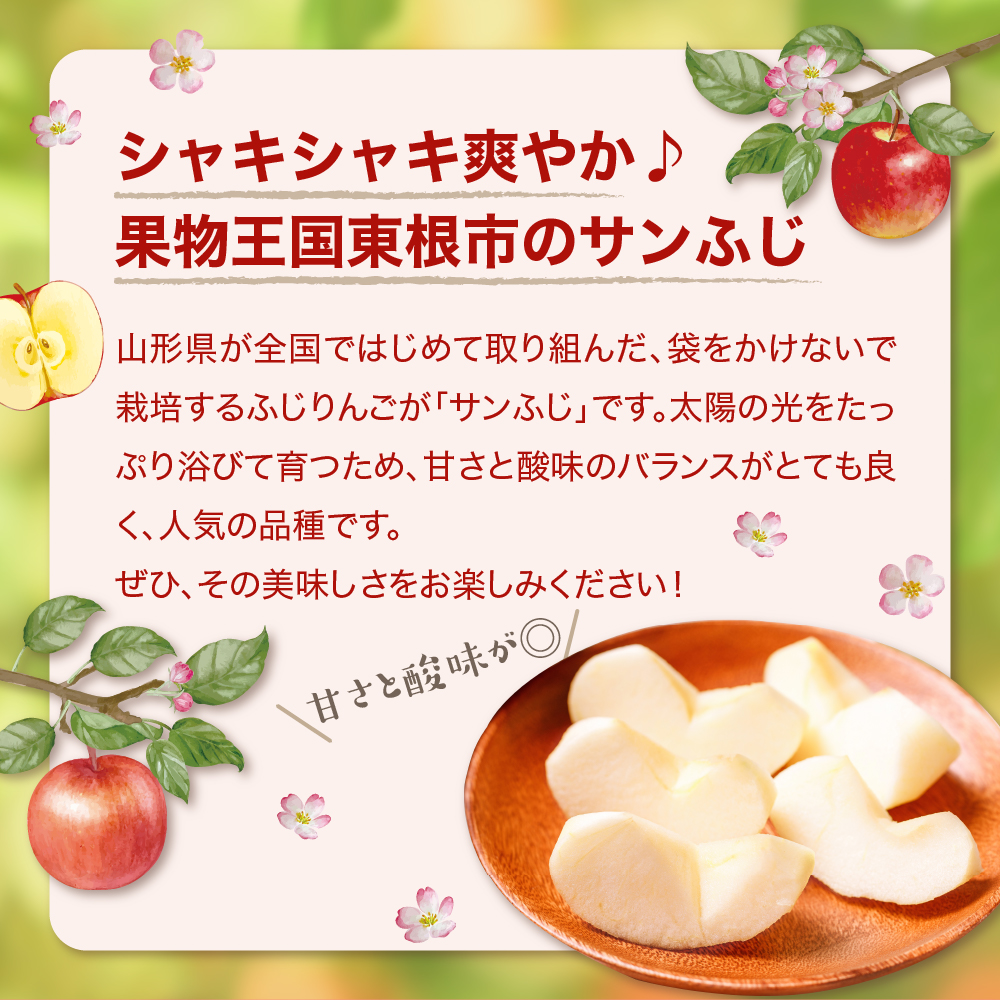 【令和6年産 先行予約】※訳あり※ サンふじ満杯詰(約9.5kg) 東根市 山形県 東根農産センター提供 hi027-131