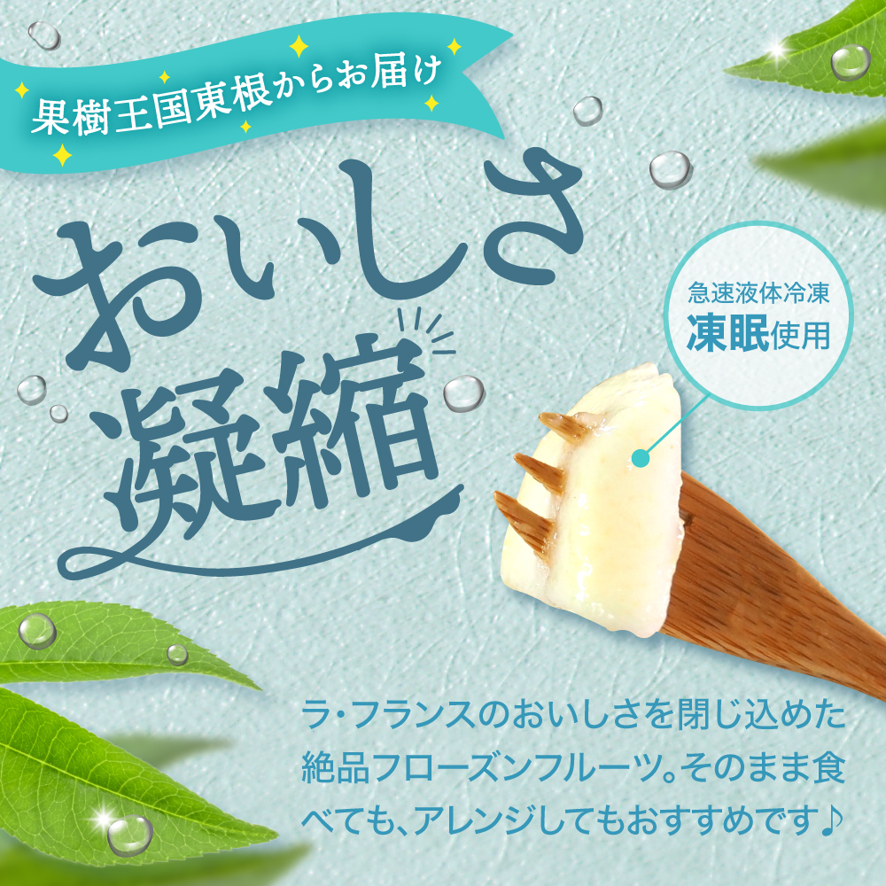 【瞬間冷凍】東根市産 カット済み ラフランス 100g×9袋入り 化粧箱 【東根農産センター】　hi004-hi027-059r