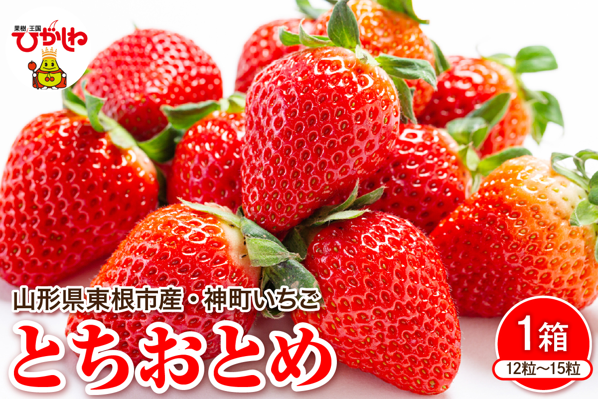 【令和7年産　先行予約】神町いちご（とちおとめ）12粒〜15粒 山形県 東根市　hi069-007-2