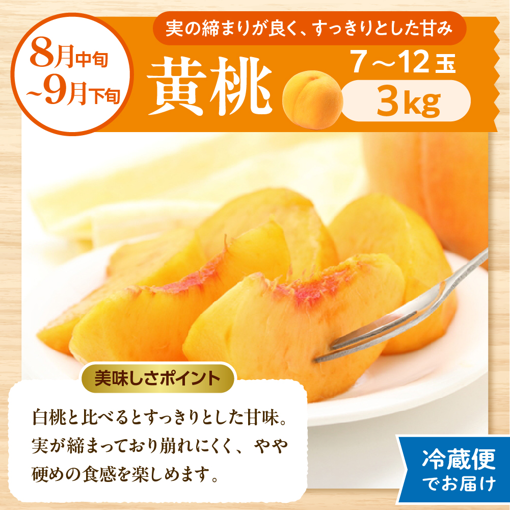 【2026年先行予約】晴天の恵み！ひがしねフルーツ祭定期便！全7回 (2026.6月中旬からスタート) 山形県 東根市 hi026-051