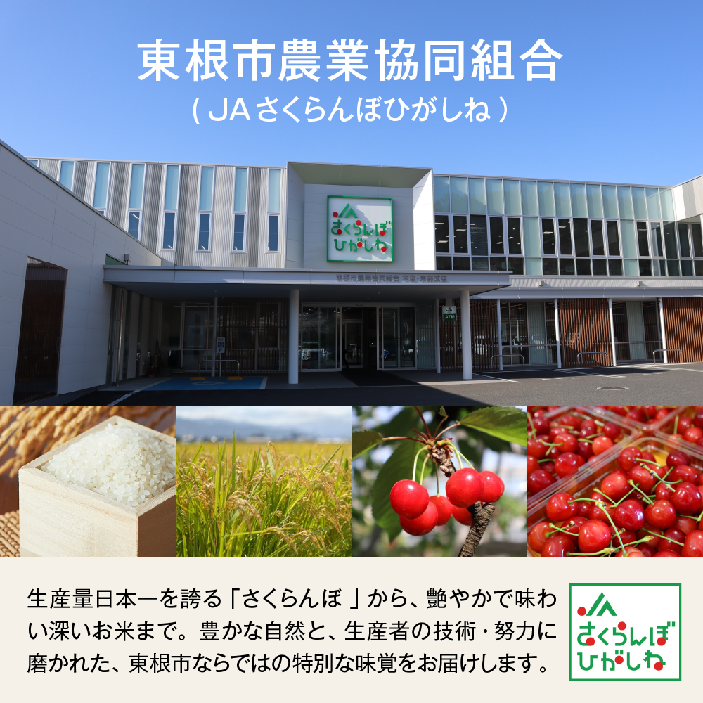 【2025年産 先行予約】東根さくらんぼ ダブルコース （佐藤錦加温500g、佐藤錦露地900g） 山形県 東根市 hi001-035-2