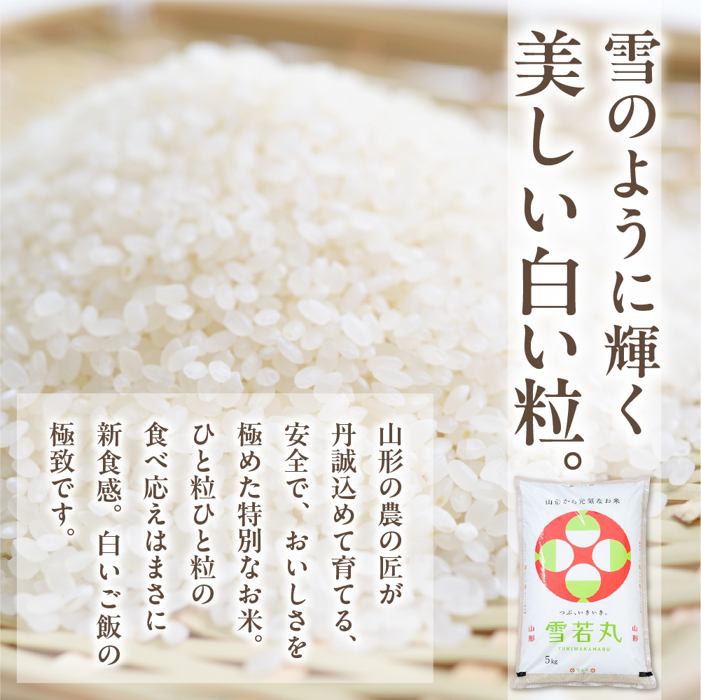 【令和6年産米】☆2025年1月前半発送☆ 雪若丸 5kg（5kg×1袋）山形県 東根市産　hi003-118-011-2