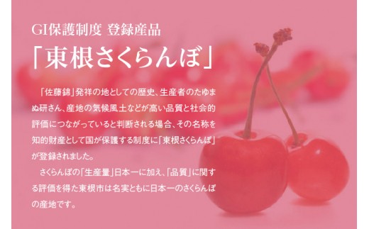 【定期便】GI「東根さくらんぼ」 さくらんぼ＆はえぬき（精米）コース(2024年6月発送)　hi999-020