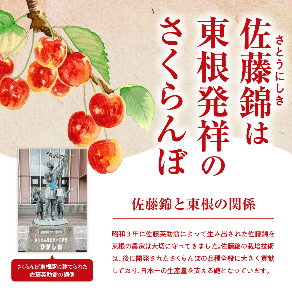 【2025年産 先行予約】超先取り！4月から発送　加温ハウス栽培 GI 「東根さくらんぼ」佐藤錦 500gバラ詰め JA園芸部提供 山形県 東根市 hi001-030-2