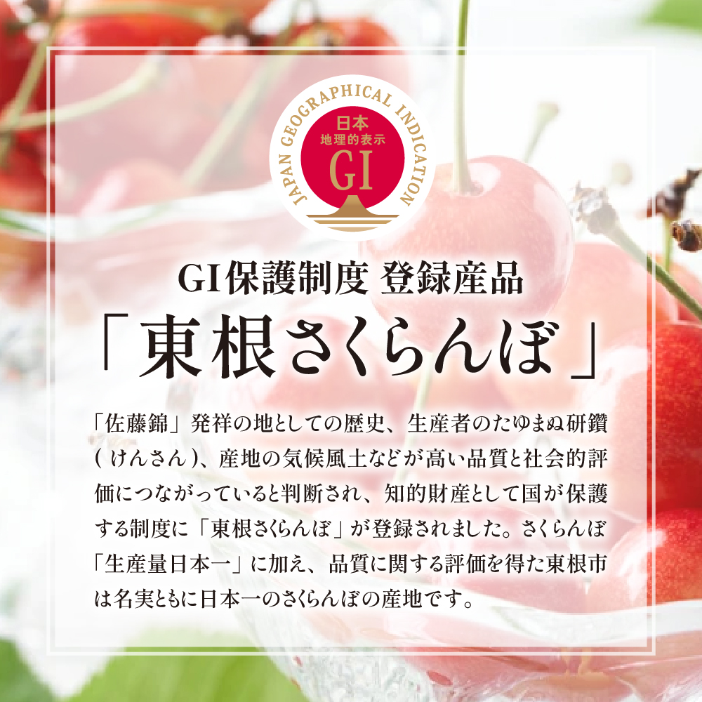 2025年GI東根さくらんぼ 紅秀峰 500gバラ詰め(2L) 東根農産センター提供　hi027-176-2