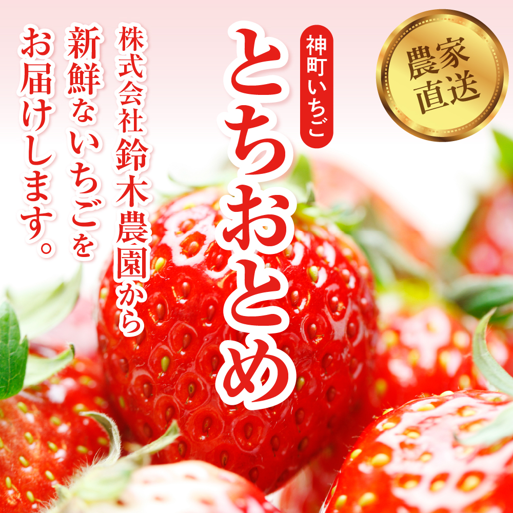 【令和7年産　先行予約】神町いちご（とちおとめ）12粒〜15粒 山形県 東根市　hi069-007-2