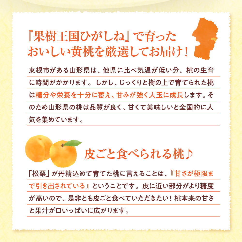 【2025年産　先行予約】黄桃 品種おまかせ 秀品2kg(やわらかめ) 山形県 東根市　hi004-hi062-027-2