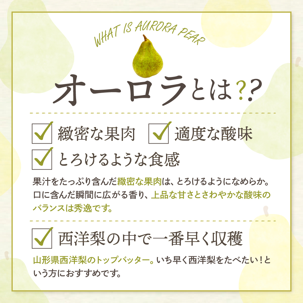 【2026年産】 西洋梨 オーロラ 2kg 秀品 化粧箱入り 山形県 東根市 東根農産センター提供 hi027-186-r8