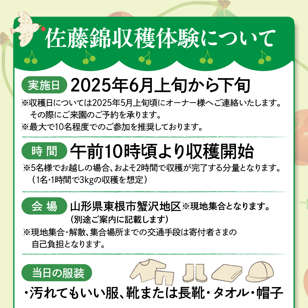 【成木丸々1本！】東根産さくらんぼの木 オーナー権「佐藤錦」 山形県 東根市 hi081-001